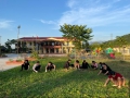 Cán bộ giáo viên, nhân viên Trường mầm non Đông Thành lao động sau giờ trả trẻ